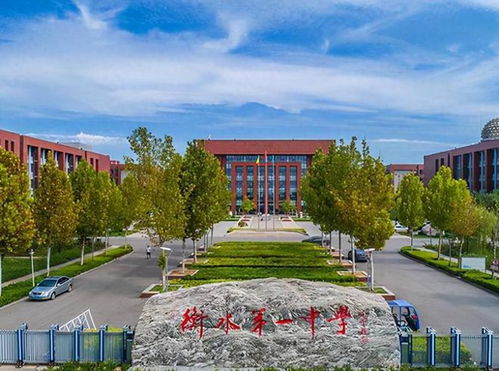 游戏衡水中,探索智慧与激情的竞技之旅(图3) 游戏衡水中,探索智慧与激情的竞技之旅(图3)