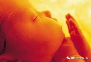 脐带游戏,探索亲子情感纽带的奇幻旅程(图2) 脐带游戏,探索亲子情感纽带的奇幻旅程(图2)