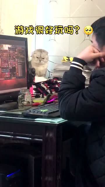 打点游戏,指尖上的竞技盛宴(图2) 打点游戏,指尖上的竞技盛宴(图2)