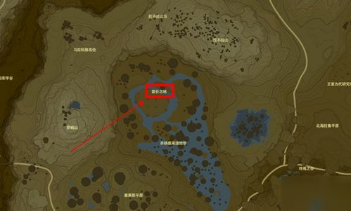 雷台游戏,揭秘古代智慧与策略的巅峰对决(图3)