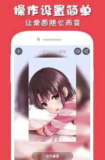 放开茶叶蛋游戏下载 (图3) 放开茶叶蛋游戏下载 (图3)