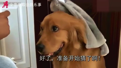 猜榴莲游戏,揭秘果中皇后之谜(图1)