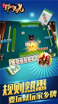ipad游戏麻将(图1) ipad游戏麻将(图1)