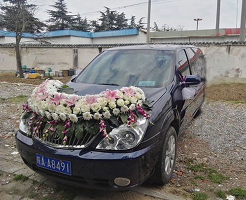 殡葬车游戏,穿梭生死边缘的惊悚冒险之旅(图2) 殡葬车游戏,穿梭生死边缘的惊悚冒险之旅(图2)