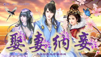 纳妾网页游戏,古代宫廷权谋与爱情纠葛的奇幻之旅(图2) 纳妾网页游戏,古代宫廷权谋与爱情纠葛的奇幻之旅(图2)