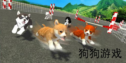 标点狗游戏,提升语文素养的益智之旅(图2) 标点狗游戏,提升语文素养的益智之旅(图2)