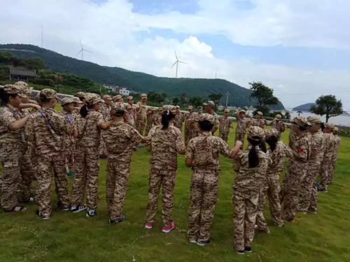 草坪射箭游戏,体验户外竞技与休闲的完美融合(图1) 草坪射箭游戏,体验户外竞技与休闲的完美融合(图1)