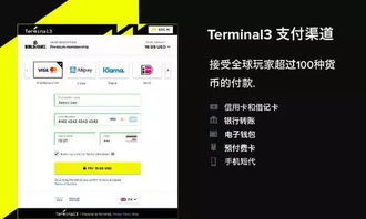 游戏平台支付,便捷与安全的支付体验揭秘(图3) 游戏平台支付,便捷与安全的支付体验揭秘(图3)