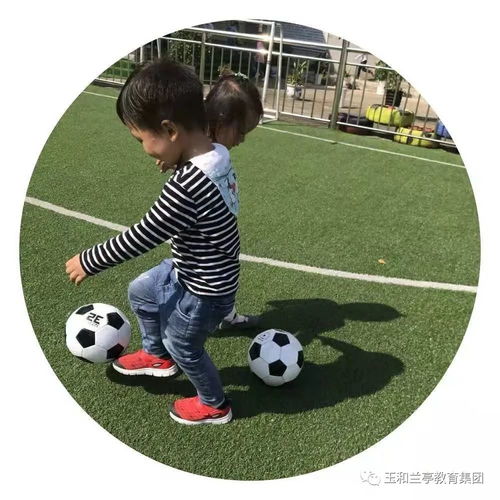 球小班游戏,趣味游戏点亮童年记忆(图3) 球小班游戏,趣味游戏点亮童年记忆(图3)