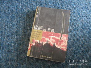 拉萨游戏本,探索高原电竞新篇章(图2)
