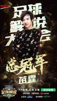 游戏苗霖,游戏世界的传奇英雄(图2)