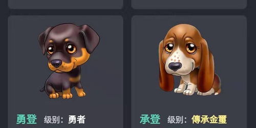 宠物游戏人,游戏世界中的欢乐人生(图3) 宠物游戏人,游戏世界中的欢乐人生(图3)
