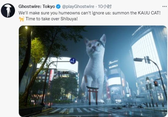 黑客猫游戏,揭秘网络世界的神秘冒险之旅(图2) 黑客猫游戏,揭秘网络世界的神秘冒险之旅(图2)