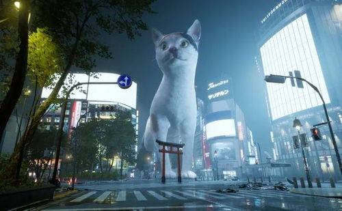 黑客猫游戏,揭秘网络世界的神秘冒险之旅(图3) 黑客猫游戏,揭秘网络世界的神秘冒险之旅(图3)