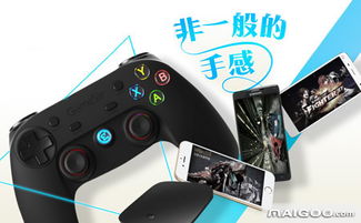 小说排行榜 (图2) 小说排行榜 (图2)