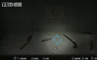 闭锁游戏,揭秘心理迷宫的挑战与成长之旅(图3) 闭锁游戏,揭秘心理迷宫的挑战与成长之旅(图3)