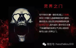 游戏招鬼,探寻神秘鬼魂的惊悚冒险之旅(图1)