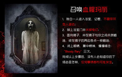 游戏招鬼,探寻神秘鬼魂的惊悚冒险之旅(图2)