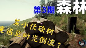 树林砍树游戏,砍树游戏的生态挑战与智慧抉择(图1) 树林砍树游戏,砍树游戏的生态挑战与智慧抉择(图1)