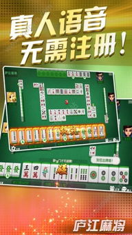 江浦麻将游戏,传承与创新并重的民间益智游戏(图2) 江浦麻将游戏,传承与创新并重的民间益智游戏(图2)
