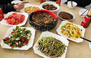 炒蛋饭游戏,解锁美食制作新技能(图2)