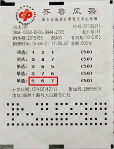 倍投游戏,风险与机遇并存的投资策略(图2) 倍投游戏,风险与机遇并存的投资策略(图2)