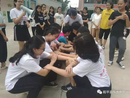 名字团队游戏,探索奇幻世界的团队冒险之旅(图1)