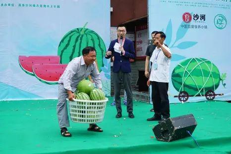 沙河做游戏,一场奇幻游戏之旅(图2)
