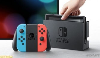 switch游戏喷喷,Switch上的萌宠冒险之旅(图1)