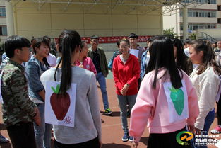 操场游戏手机,畅享校园乐趣的移动新体验(图2)