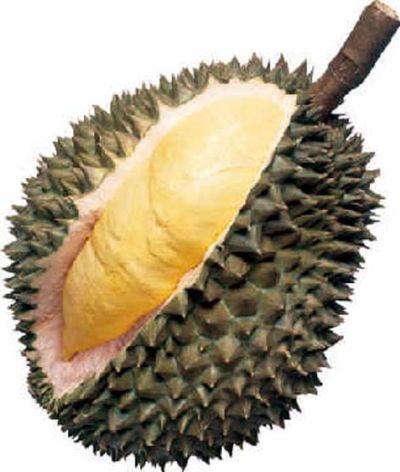 榴莲菠萝游戏,一场味蕾与勇气的奇幻之旅(图2) 榴莲菠萝游戏,一场味蕾与勇气的奇幻之旅(图2)