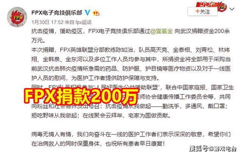 游戏捐款,爱心捐款共筑美好未来(图3) 游戏捐款,爱心捐款共筑美好未来(图3)
