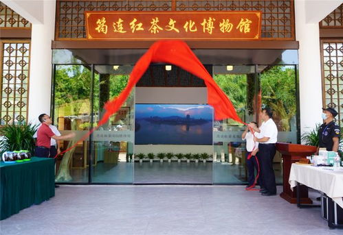 筠连游戏馆,体验科技魅力(图1) 筠连游戏馆,体验科技魅力(图1)