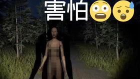 恐怖游戏人形,揭秘虚拟恐怖的阴影面(图3) 恐怖游戏人形,揭秘虚拟恐怖的阴影面(图3)