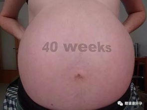 排卵子游戏,探索女性生育周期的趣味互动之旅(图1) 排卵子游戏,探索女性生育周期的趣味互动之旅(图1)