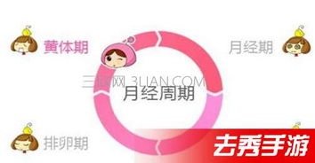 排卵子游戏,探索女性生育周期的趣味互动之旅(图3) 排卵子游戏,探索女性生育周期的趣味互动之旅(图3)