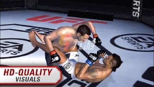 ufc4游戏手机版 (图1)