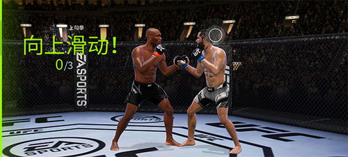 ufc4游戏手机版 (图2)
