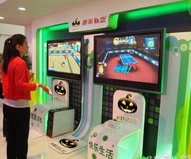ndss游戏,NDSS游戏深度解析(图1)