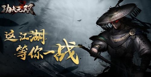 无双啥游戏,传奇英雄的荣耀征程(图1) 无双啥游戏,传奇英雄的荣耀征程(图1)