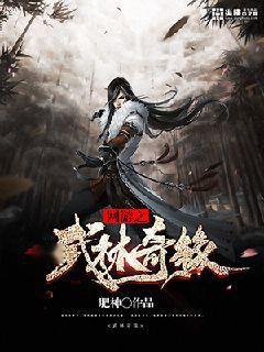 武林奇缘游戏,侠客传奇续写(图2)