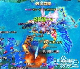游戏 昙花,揭秘游戏世界的短暂辉煌(图2) 游戏 昙花,揭秘游戏世界的短暂辉煌(图2)
