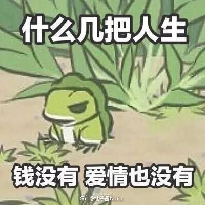 追青蛙游戏,探索游戏乐趣与挑战(图2) 追青蛙游戏,探索游戏乐趣与挑战(图2)