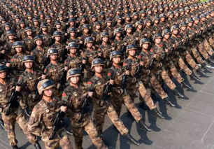 大国防游戏,打造强盛国家的战略征程(图2) 大国防游戏,打造强盛国家的战略征程(图2)