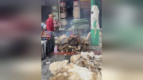 游戏卖棉花,游戏中的农业革命与财富传奇(图2)