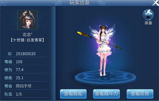 念兮游戏,穿越时空的奇幻冒险之旅(图3)