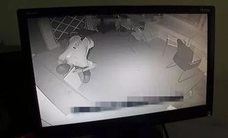 监控房主游戏,房主游戏精彩瞬间回顾(图3) 监控房主游戏,房主游戏精彩瞬间回顾(图3)
