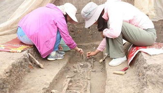 烧窑游戏,体验古代陶艺的奇妙之旅(图3) 烧窑游戏,体验古代陶艺的奇妙之旅(图3)