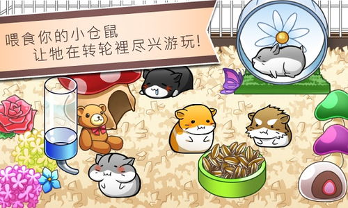 仓鼠跑步游戏,趣味健身新体验(图2) 仓鼠跑步游戏,趣味健身新体验(图2)