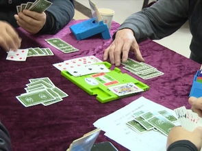 棋桥牌游戏,智慧与策略的完美融合(图1) 棋桥牌游戏,智慧与策略的完美融合(图1)